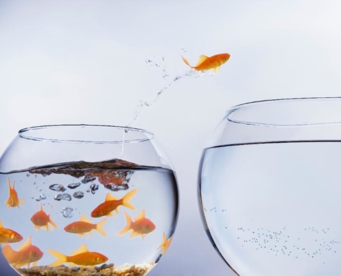 Two fish in a bowl with one of them jumping into the water.